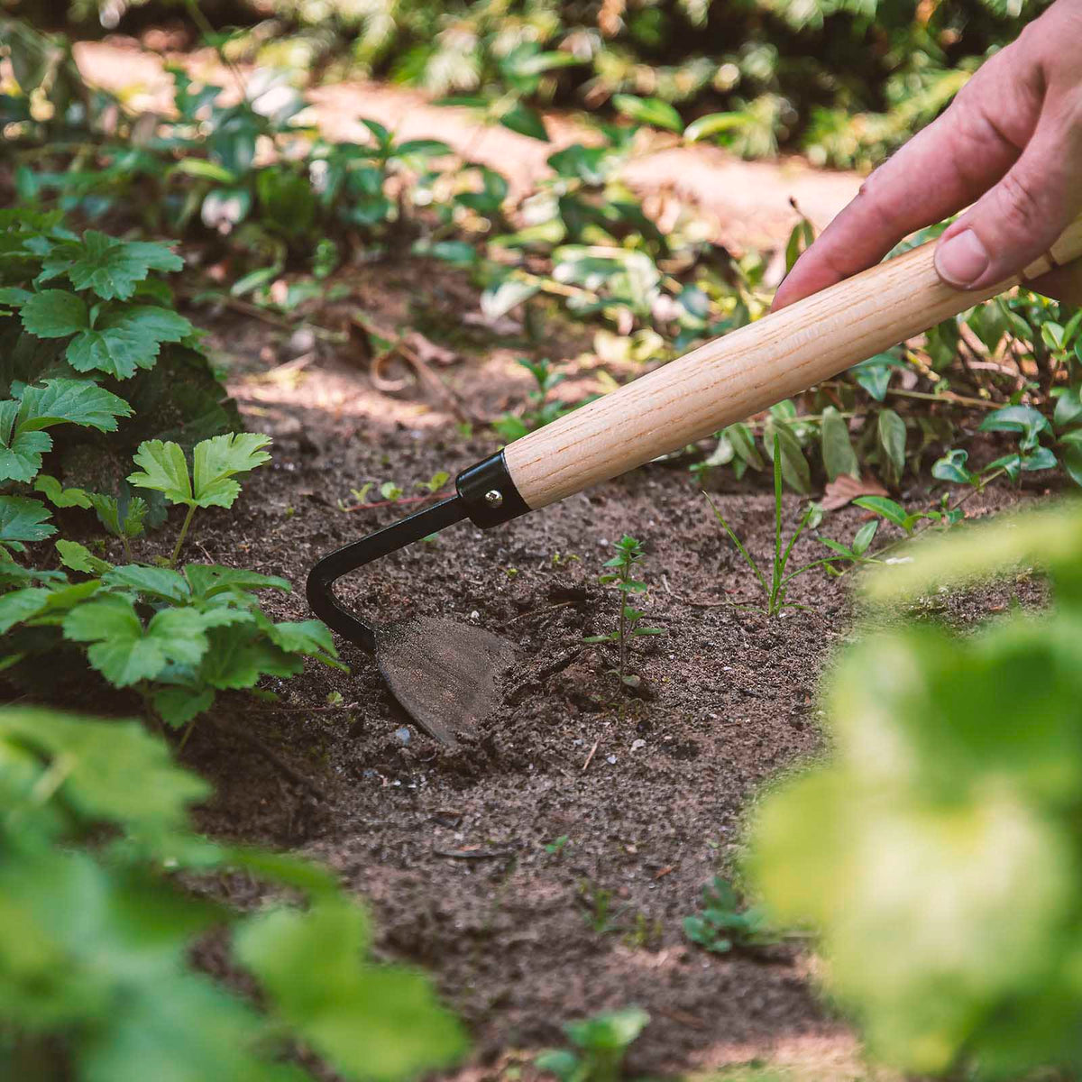 TAKAHANA half-moon pulling hoe