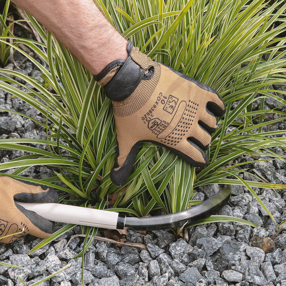 TAKAHANA perennial sickle